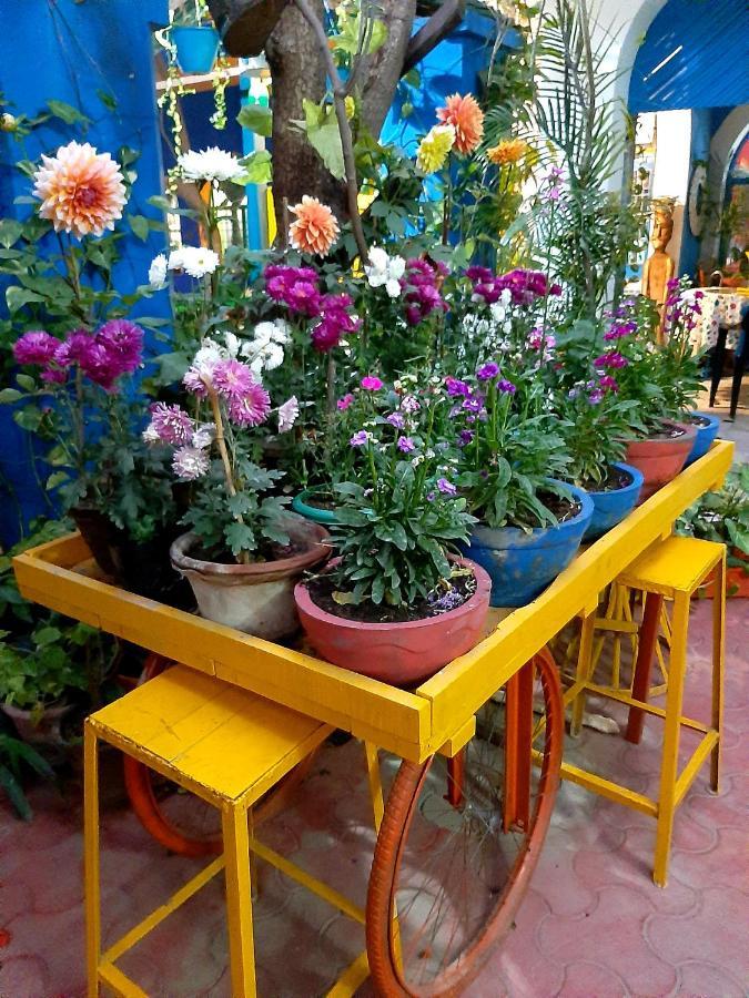 The Coral House Homestay By The Taj Agra  Exteriér fotografie