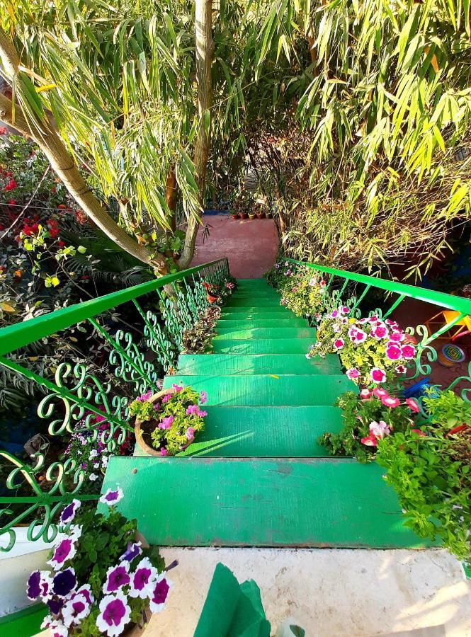 The Coral House Homestay By The Taj Agra  Exteriér fotografie