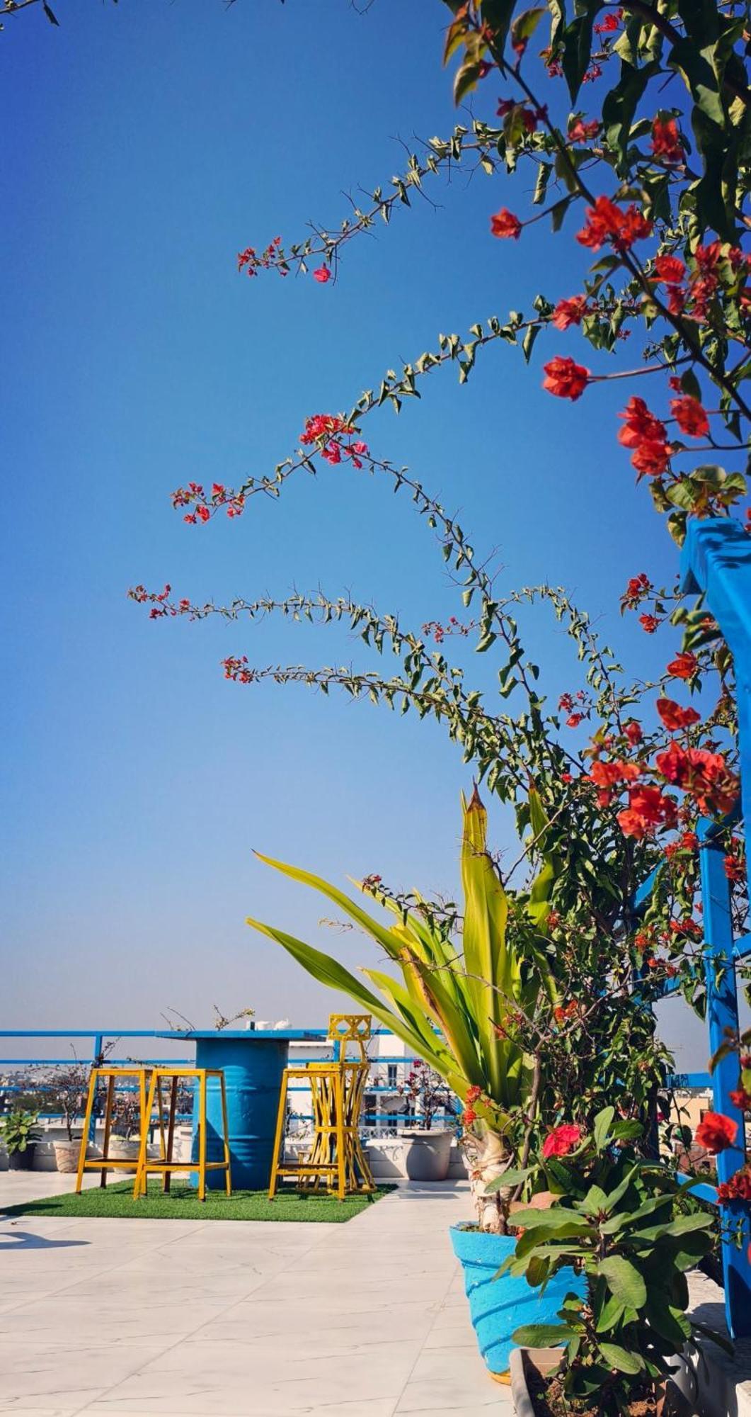 The Coral House Homestay By The Taj Agra  Exteriér fotografie